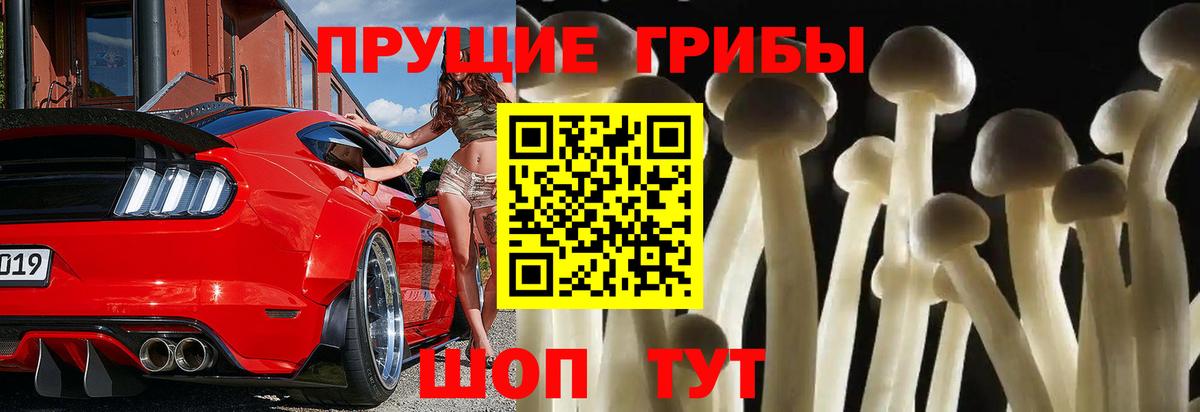 Калининград  Псилоцибиновые грибы GOLDEN TEACHER  Вход с VPN 